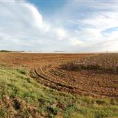Fields on Hwy 385