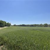 7D Hay & Cattle LLC