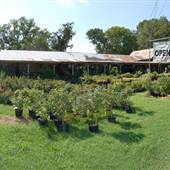 Grandma's House Nursery & Florist