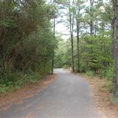 Kleb Woods Nature Preserve