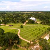 Whispering Trees Farm
