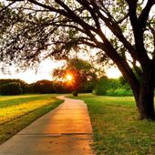 Duck Creek Greenbelt