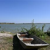 Vallecillo Ranch
