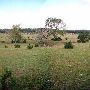 Storm Ranch