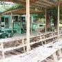 Ski Shores Cafe
