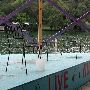 Ski Shores Cafe