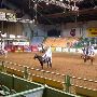 Stockyards Station - Cowtown Colliseum