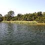 Lake Bastrop