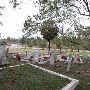 Brownsville City Cemetery