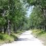 Turkey Bend Recreation Area