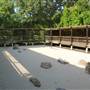 Fort Worth Botanic Garden - Japanese Garden
