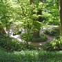 Fort Worth Botanic Garden - Japanese Garden