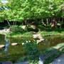 Fort Worth Botanic Garden - Japanese Garden