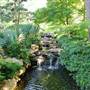 Fort Worth Botanic Garden - Japanese Garden