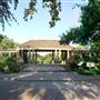 Fort Worth Botanic Garden - Rose Garden