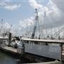 Port of Palacios