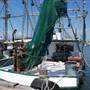 Port of Palacios