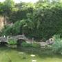 Japanese Tea Garden at Brackenridge Park
