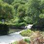 Japanese Tea Garden at Brackenridge Park