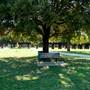 Trinity Park