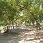 Trinity Park