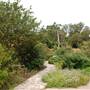 Fiesta Gardens