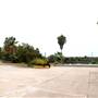 Fiesta Gardens