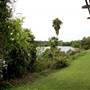 Fiesta Gardens