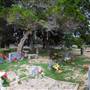 Polly Cemetery