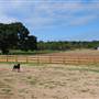 BK Ranch