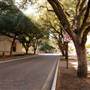 Texas A&M University