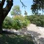 San Pedro Springs Park