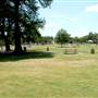 San Pedro Springs Park