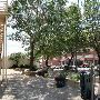 Waco