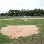 Sonny Gold Ball Park