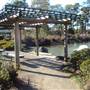 Japanese Garden in Hermann Park