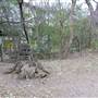 Eastwoods Park