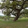 Beason's Park on the Colorado