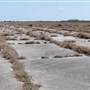 Matagorda Island