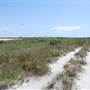 Matagorda Island