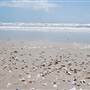 Matagorda Island