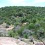 The Sandy Ranch