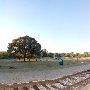 Texas State Railroad - Palestine Depot
