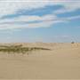 Monahans Sandhills State Park