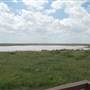 Muleshoe National Wildlife Refuge