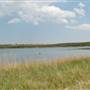 Muleshoe National Wildlife Refuge