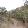 Big Bend National Park - Lost Mine Trail