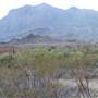 Big Bend National Park - Ward Springs Trail