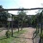 Pioneer Farms - Texian Cabin