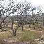 Hyatt Regency Lost Pines Resort & Spa